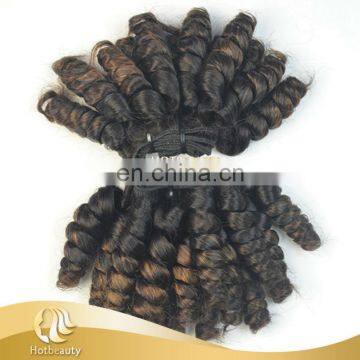 2016 9a Grade Wholesale Funmi Beyonce Curly Human Hair Extension