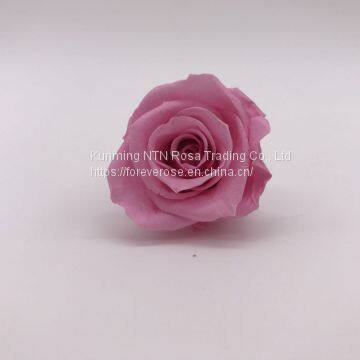 Wholesale3-4cm Elegant Real Touch Preserved Rose Flower photo-2