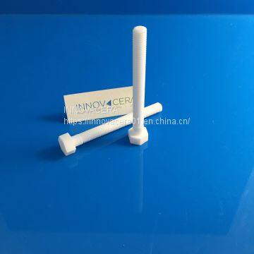 95% alumina ceramic screw bolt with Pan Head Slotted /Innovacera