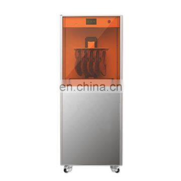 High Precision 0.025mm Jewelry Casting Models 3D Digital Printer DLP 4K OEM Factory MOQ 1 Piece in China