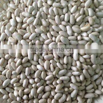 Bai Shake White Kidney Beans