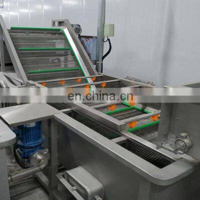 Air Bubble Type Black Radish Blueberry Palm Dates Peanut Sorting Cleaning Leaf Vegetable and Fruit Banana Washing Machine photo-3