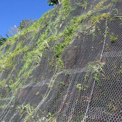 Double Twist Hexagonal Mesh Rockfall Netting Drapery System for for Rockfall Mitigation Slope Consolidation Works photo-3