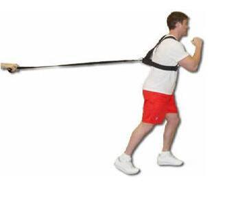 Power Harness Shoulder