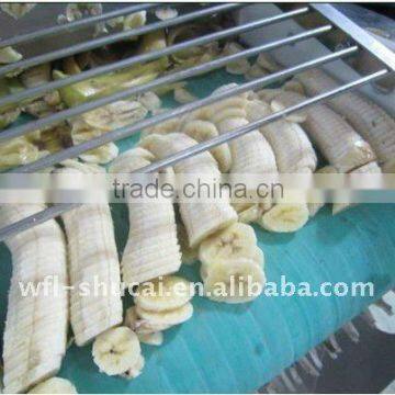 Banana Chips Cutting Machine/Banana slicer