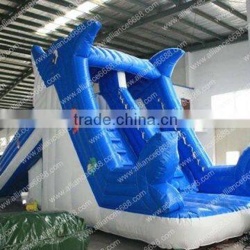 outdoor dolphin outdoor water slide