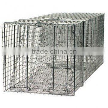 Raccoon Cage Trap