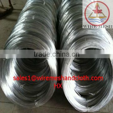 electro galvanized iron wire/galvanized wire