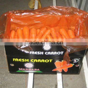 Supply 2013 Hot sale Chinese fresh red Carrot