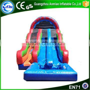 Hot in Summer Funny Giant Inflatable Pool Slide for Adult Supplier's Choice photo-3