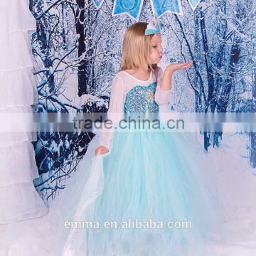 Wholesale frozen elsa princess dress for kids costume BC2098