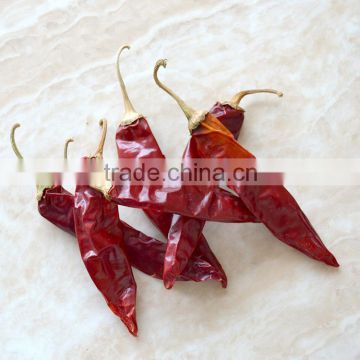 Hot sale good quality dry long American red chilli