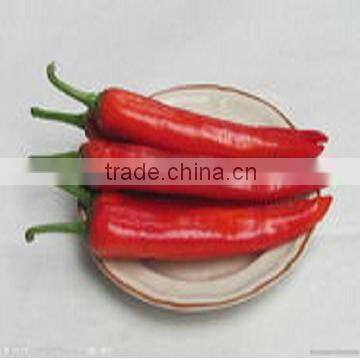Fresh Pepper