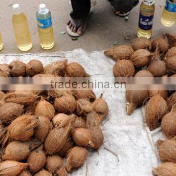 Fresh Husked Coconut