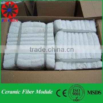 Ceramic fiber modules with S304 anchors