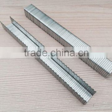 T50/A11/PF type electro galvanized staples,divergent staples