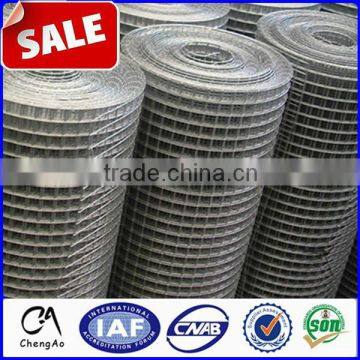 China professional cheap galvanized wire mesh rolls/1/2 inch square hole welded wire mesh roll/pvc coated welded wire mesh roll