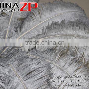 CHINAZP Factory Exporting Leading Bulk Sale Colored Stripped Silver Grey Large Ostrich Feathers for Weddings photo-4