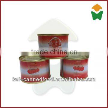 Small Tomato Paste Machine for Hard Open Lid 70gx50tins photo-1