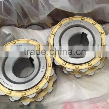 IKC koyo 60UZS417-SX Eccentric bearing 60UZS417T2X-SX