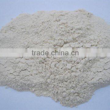 Dried Onion Powder