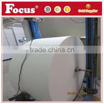 Virgin Wood Fluff Pulp For Baby Diaper and Sanitary Napkin Origin From USA photo-3