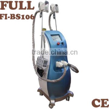 Vertical freeze lipo massage beauty machine equipment