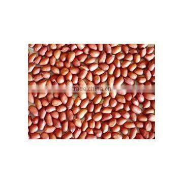 Indian Blanched Peanuts, good quality PEANUT BOLD