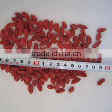 Low Pesticide Goji berry
