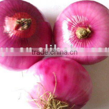red onion