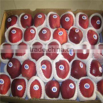 Huaniu apple/Red mature huaniu apple factory