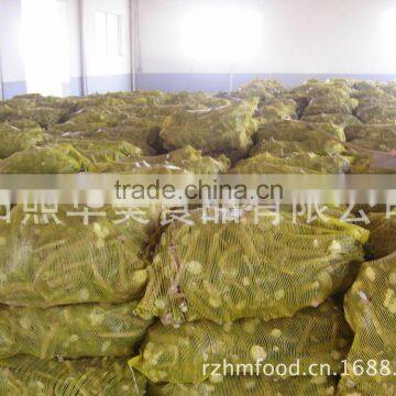 Fresh Horseradish photo-3