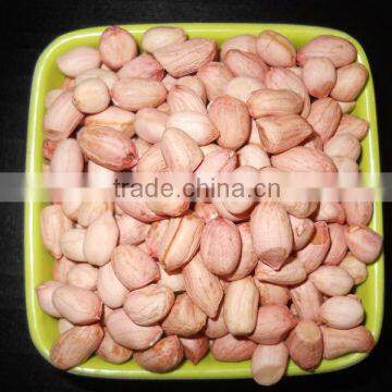 INDIAN JAVA PEANUT KERNEL 50/60