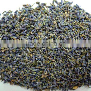 Natural air freshener-Dried lavandula,lavander flower,lavanda flower