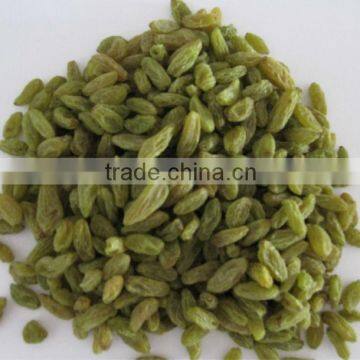 Thompson seedless chinese green raisin