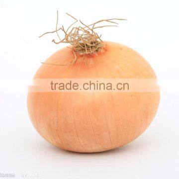 FX-128-3A Full Automatic Onion Skin Removal Machine(Whatsapp:+0086-15123231520)