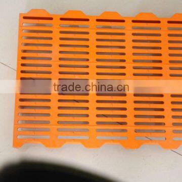 powerful plastic piglet floor board for poultry equipment