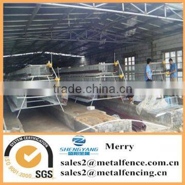 304, 316 stainless steel welded wire mesh for chicken cage