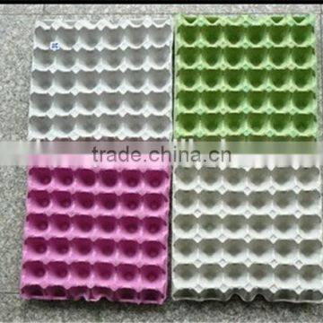 Rich Experience Egg Carton Tray Machine photo-3