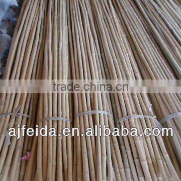 FD26Straight raw bamboo poles for construction & building materials