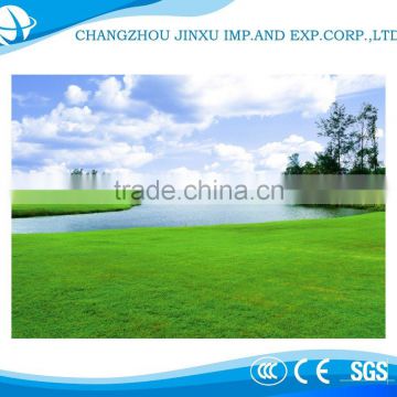 Hot selling popular design landscaping artificial grass carpet