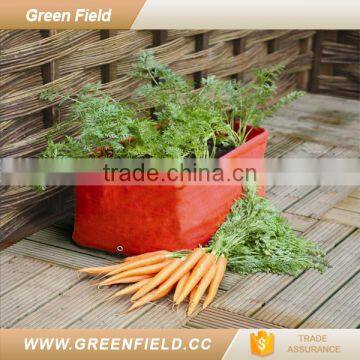 Green Field PE tomato herb planter garden bed 2017 new arrivals