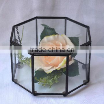 Micro indoor deocr landscape vase indoor plant glass terrarium