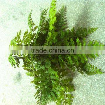 Home and Outdoor Garden Edging Christmas Decoration 60cm or 24inches Height Artificial Small Grass for Green Wall E04 1014 photo-5