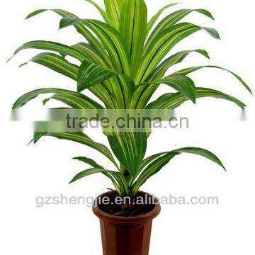 GuangZhou SJ artificial plants/artificial dracaena fragrans