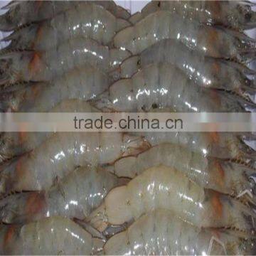 Frozen Vannamei Shrimp