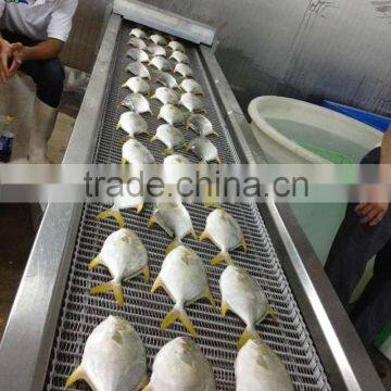 China Wholesale Gold Pomfret photo-2