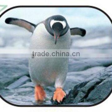 For Baby Sun Protection Side Window Car Cartoon Sun Shade