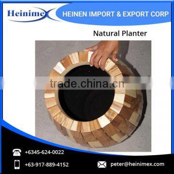 Widely Selling, Fiberglass Made Flower Planters for Home Decore photo-4