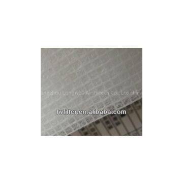 Spary&bake Diffusion Media Air Ceiling Filter Lwn-600g